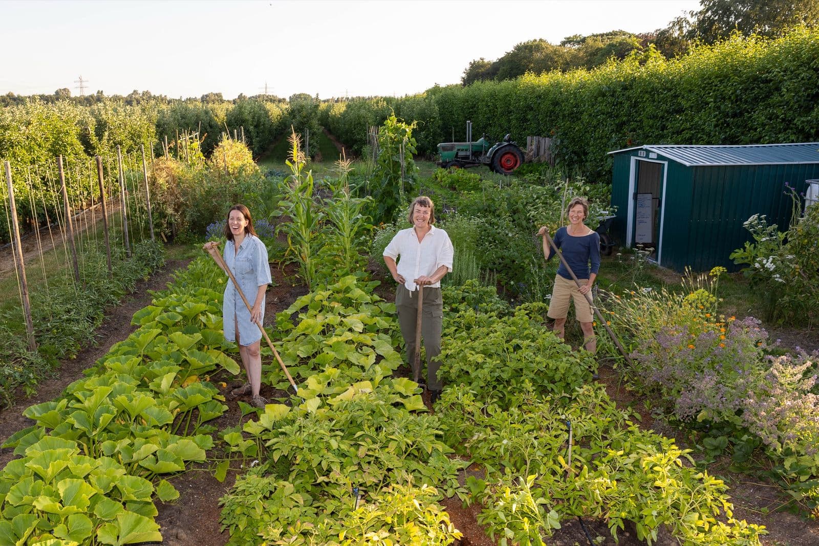 Overzicht van het tuinperceel met de tuinders, de tractor en de schuur